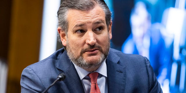 Sen. Ted Cruz, R-Texas, speaks during a Senate Foreign Relations Committee hearing, March 23, 2021, on Capitol Hill in Washington.