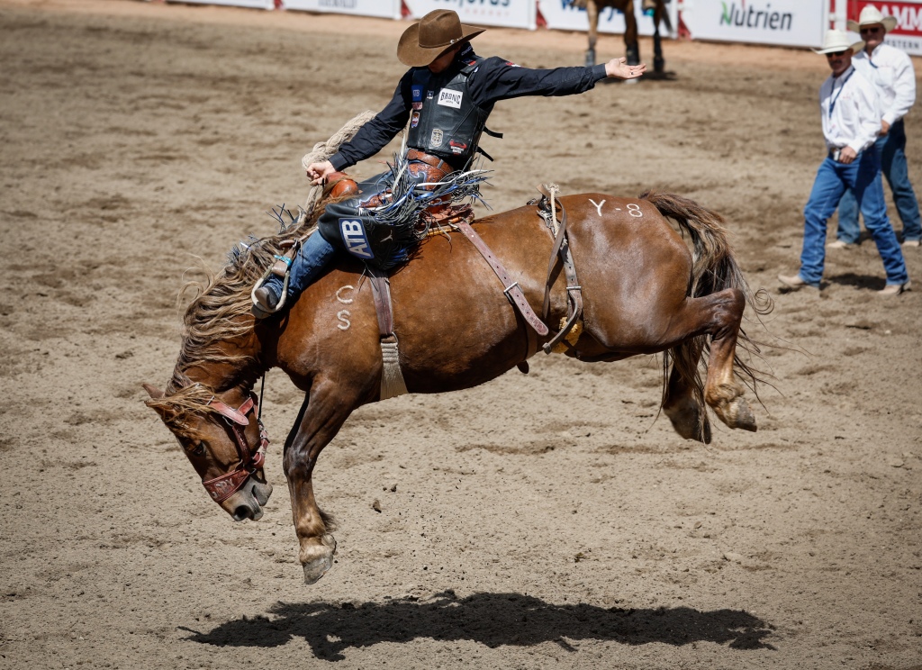 Rodeo patrons began to host small competitions on or around ranches, and place bets on each other.