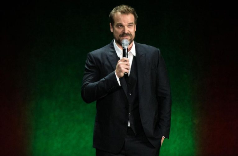 David Harbour considered killing a cat as part of method acting