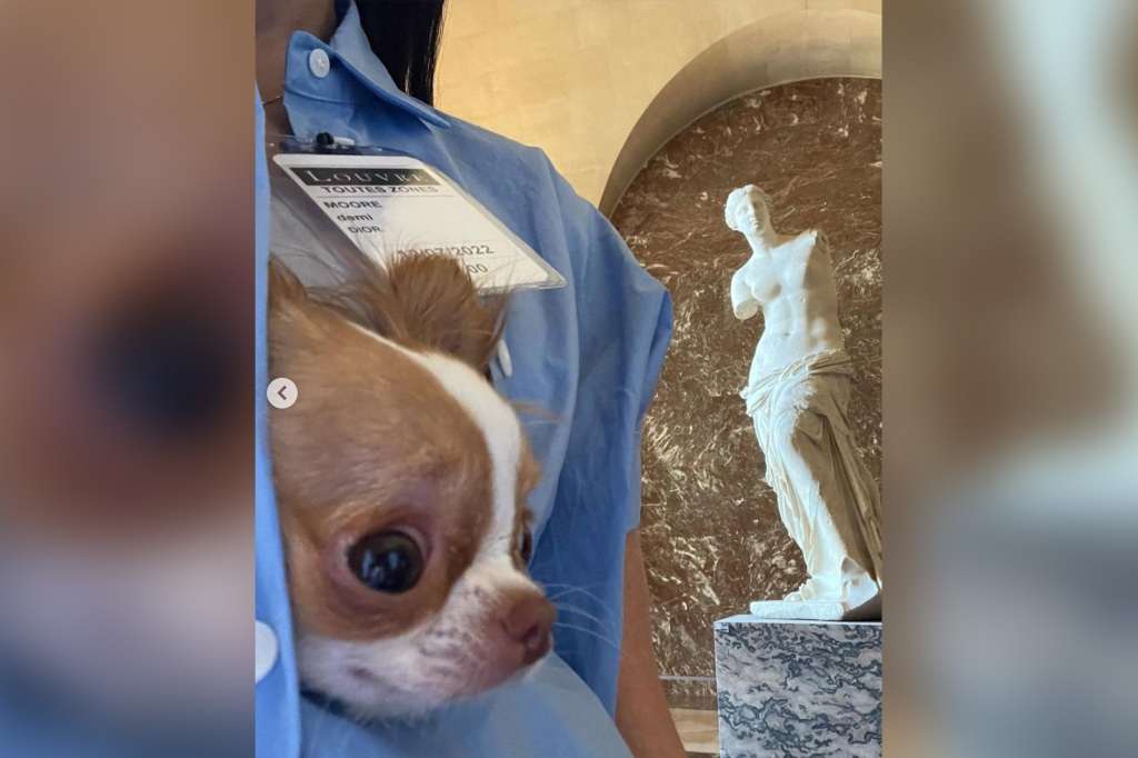 Demi Moore hiding her dog in her shirt at the Louvre. 