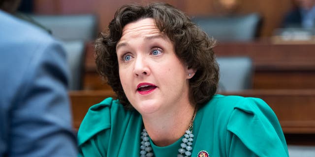 "Mental illness is not a crime, and we have to stop treating it like one," says Rep. Katie Porter, D-Calif. 