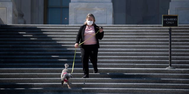 UNITED STATES - March 3: Rep. Susan Wild, D-Pa., walks with her dog, Zoey, as she walks down the House steps after a vote in Washington on Wednesday, March 3, 2021. 