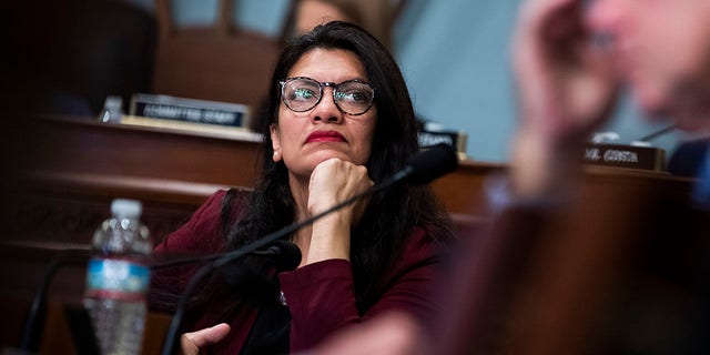 Rep. Rashida Tlaib, D-Mich., attends the House Natural Resources Committee hearing titled Examining the Department of the Interior's Spending Priorities and the President's FY2022 Budget Proposal.