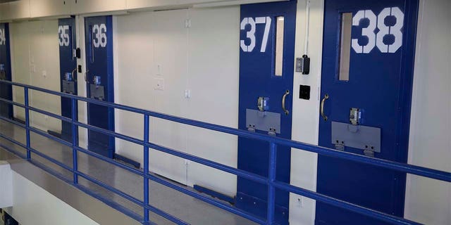 In this March 12, 2015 file photo, numbered doors of enhanced supervision housing unit, also commonly known as solitary confinement, are shown at the Rikers Island jail complex n New York.