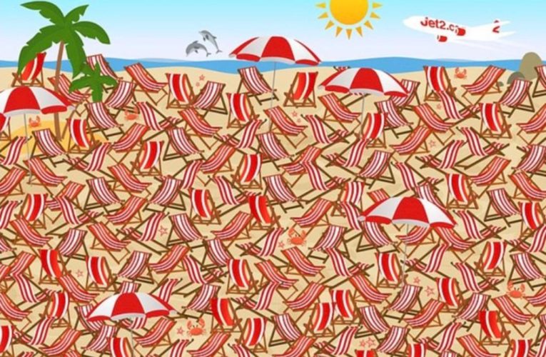 Can you spot hidden skis in this beach illusion in under 28 seconds?
