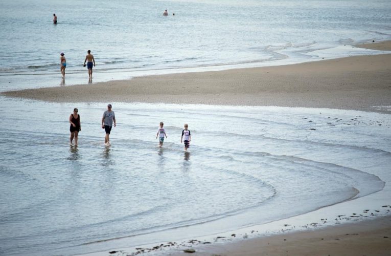 Maine’s Popham Beach State Park reopens after great white shark sightings