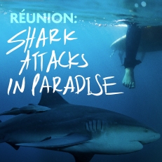Reunion Shark Attacks in Paradise