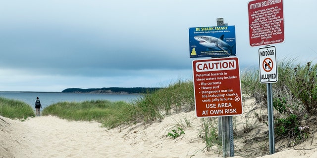 CAPE COD, WELLFLEET, MASSACHUSETTS, UNITED STATES - 2019/09/04: Shark warning and beach advisories