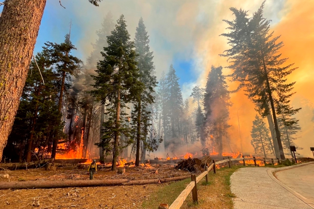 In this image provided by the National Park Service, a firefighter walks near the Mariposa Grove as the Washburn Fire burns in Yosemite National Park, Calif., Thursday, July 7, 2022.