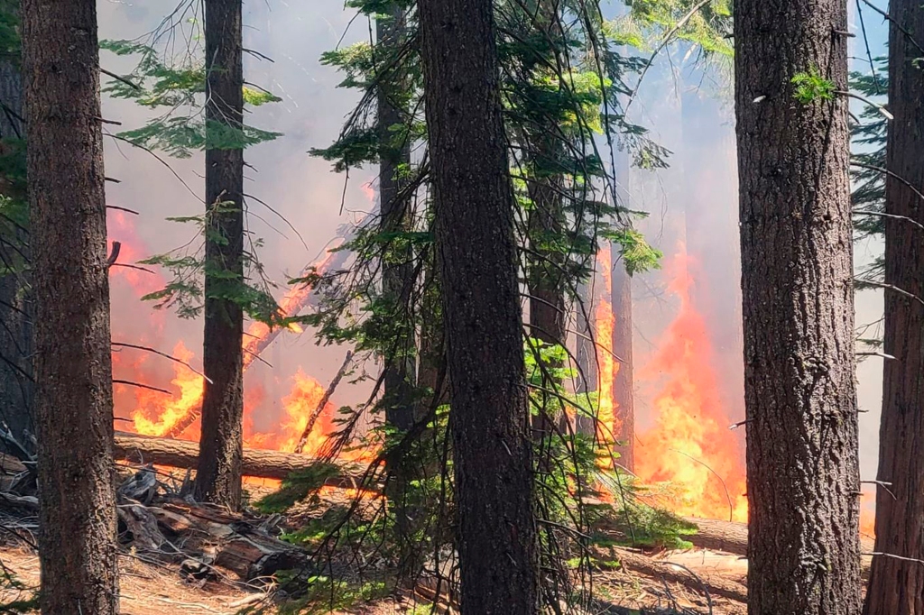 In this photo released by the National Park Service, the Washburn Fire burns near the lower portion of the Mariposa Grove in Yosemite National Park, Calif., Thursday, July 7, 2022.