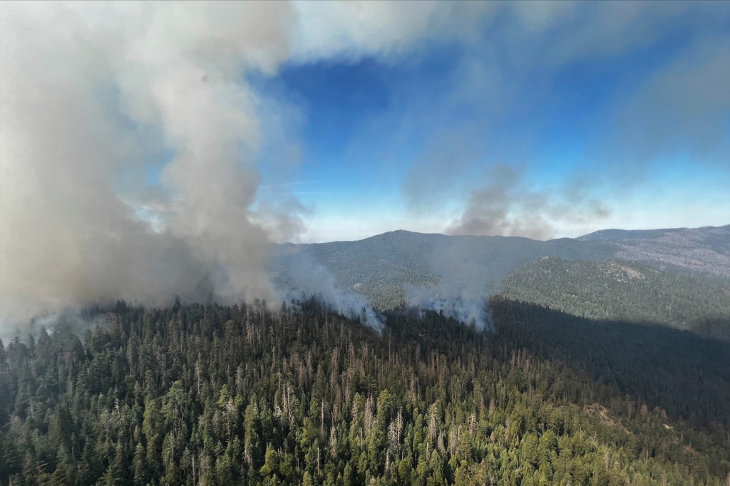 In this image released by the National Park Service, smoke rises from the Washburn Fire near the lower portion of the Mariposa Grove in Yosemite National Park, Calif., Friday, July 8, 2022. 