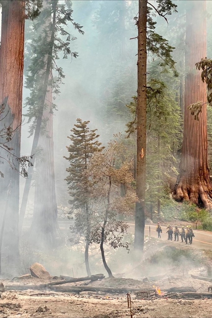 In this photo released by the National Park Service, firefighters make their way toward the Mariposa Grove as the Washburn Fire burns in Yosemite National Park, Calif., Thursday, July 7, 2022.