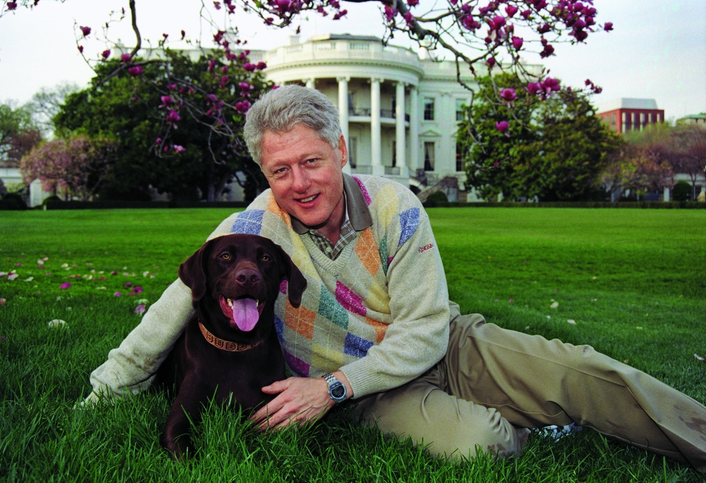 President Bill Clinton with his chocolate Lab, Buddy, on the White House lawn.