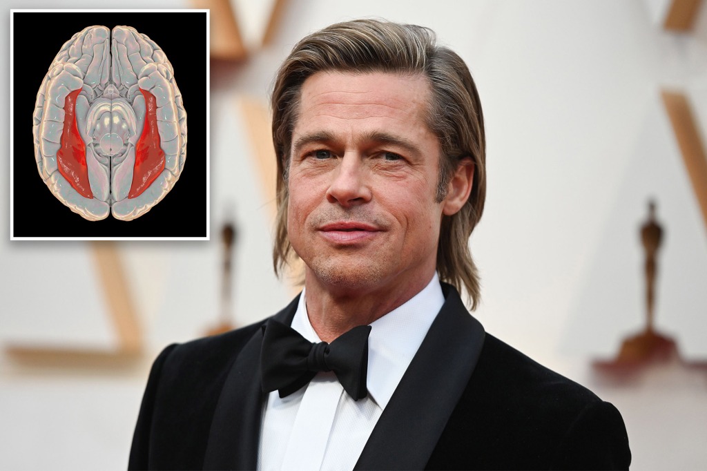 Brad Pitt and a brain scan