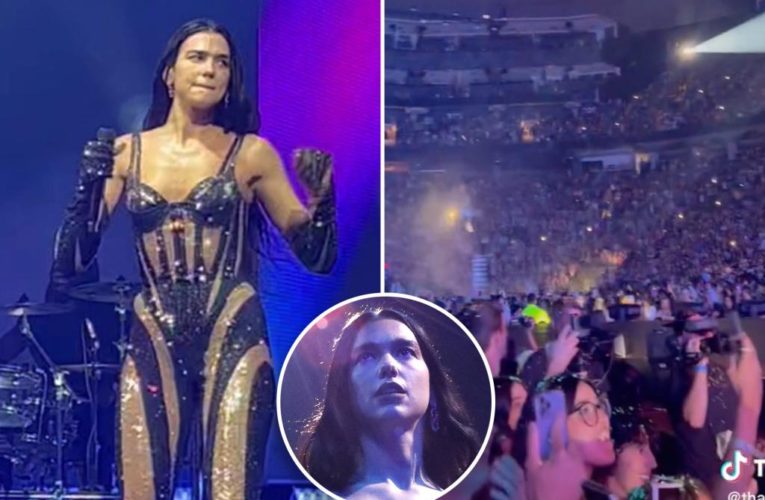 Dua Lipa fans injured by exploding fireworks snuck into concert