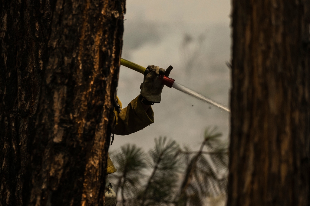 A firefighter tends to a backfire along Wawona Road while battling the Washburn Fire in Yosemite National Park, Calif. Monday, July 11, 2022. 