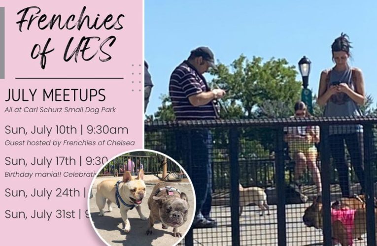 Backlash over French bulldog meetup leads to ‘physical threats’
