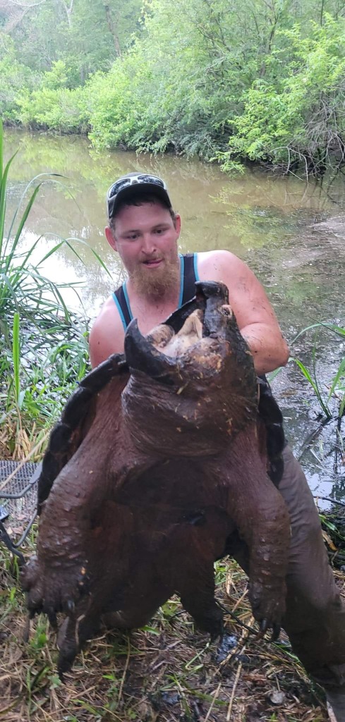 Broomhall thinks the alligator snapping turtle was at least 100 years old, if not older. Broomhall noticed the animal's eyes were getting hazy, and it could've been blind.