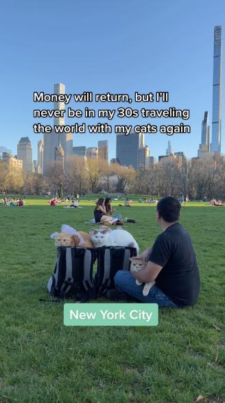 Dan and his wife Olivia started introducing their cats to the great outdoors via Central Park.