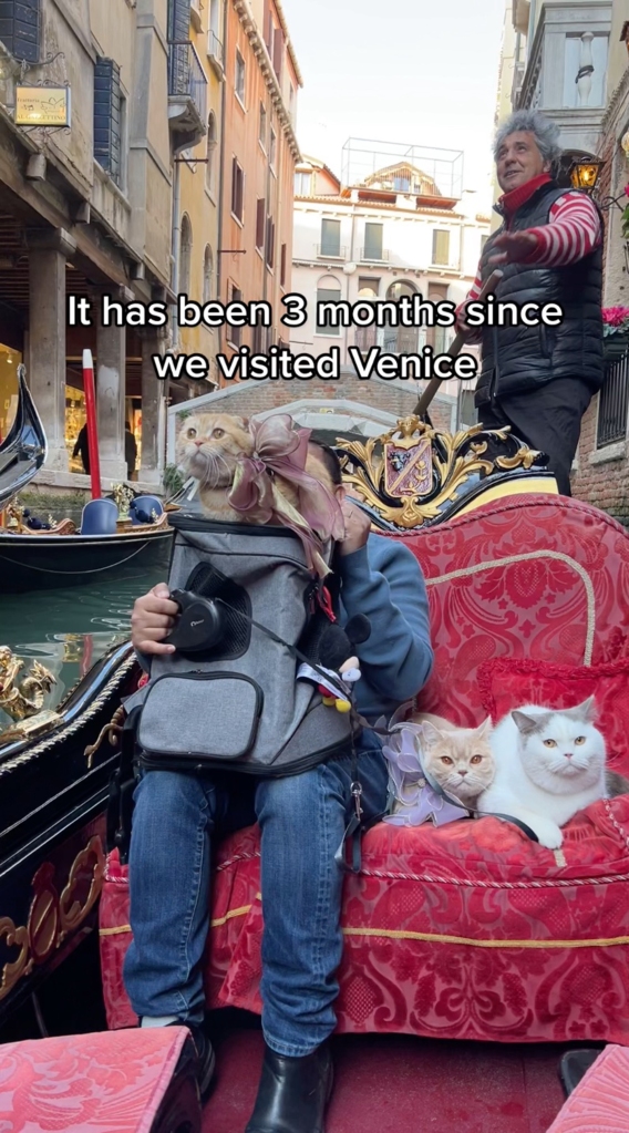 They enjoyed a gondola ride in Venice.