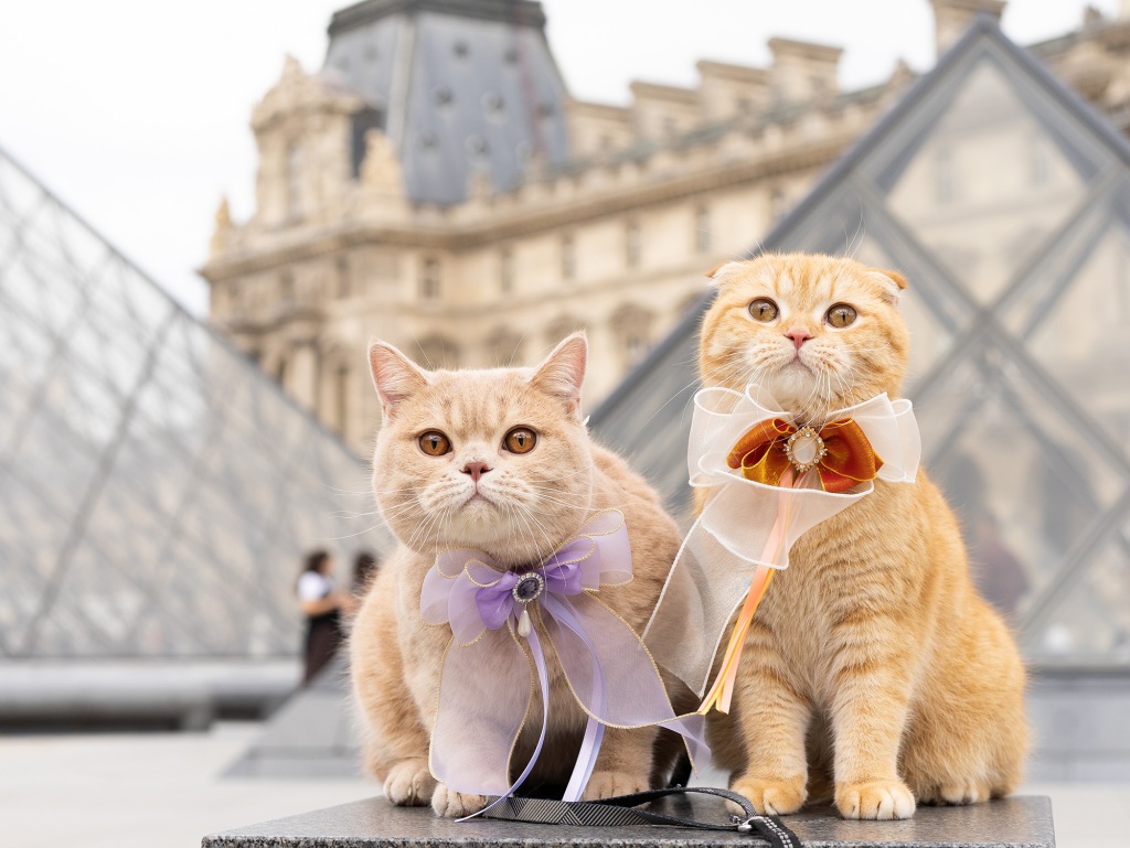 Mocha and Sponge Cake posed for a photo outside The Louvre. 