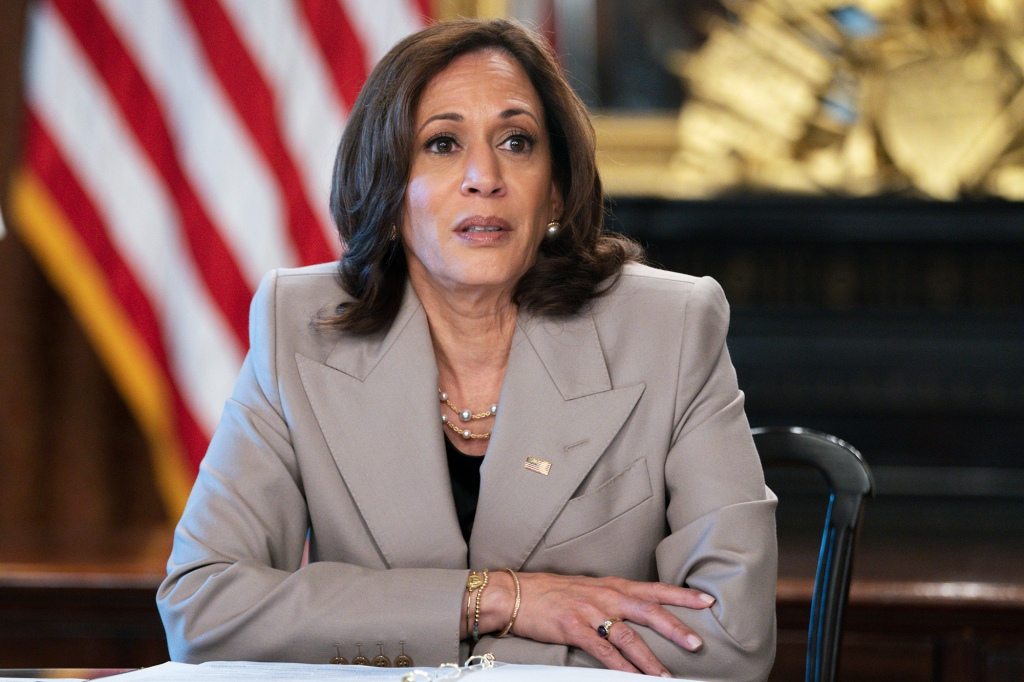 Vice President Kamala Harris speaks with state legislators about protecting reproductive rights in the White House on July 8, 2022.