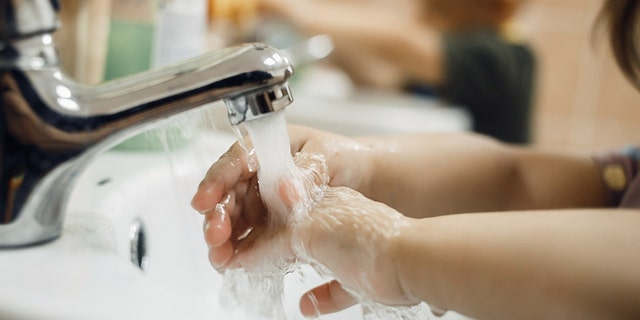 Good hygiene is important when keeping safe from monkeypox — hand washing as well as keeping healthy distances and washing linens of infected people are also advised.