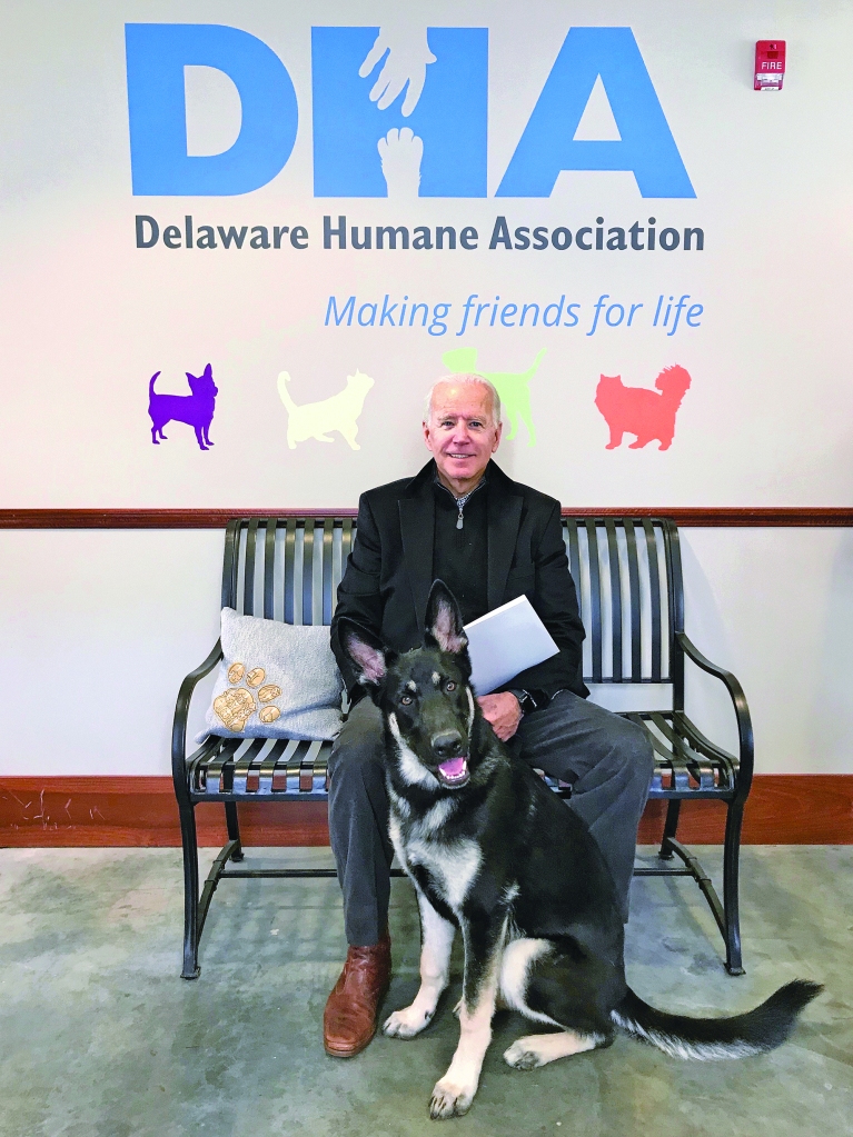 Joe Biden with German Shepherd, Major