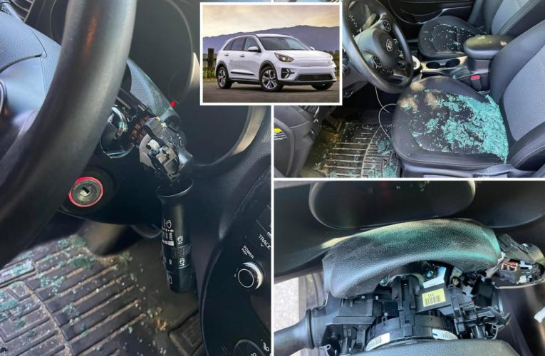 TikTok urges users to report ‘Kia Challenge’ USB hot-wiring trend