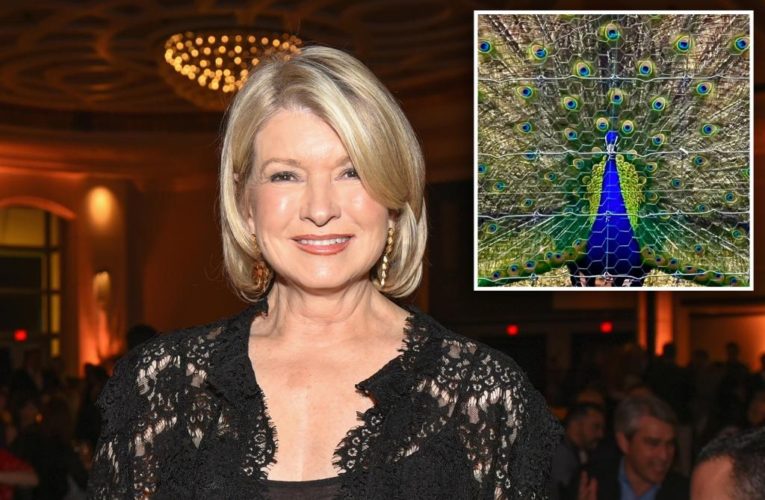 Martha Stewart’s pet peacocks eaten by coyotes