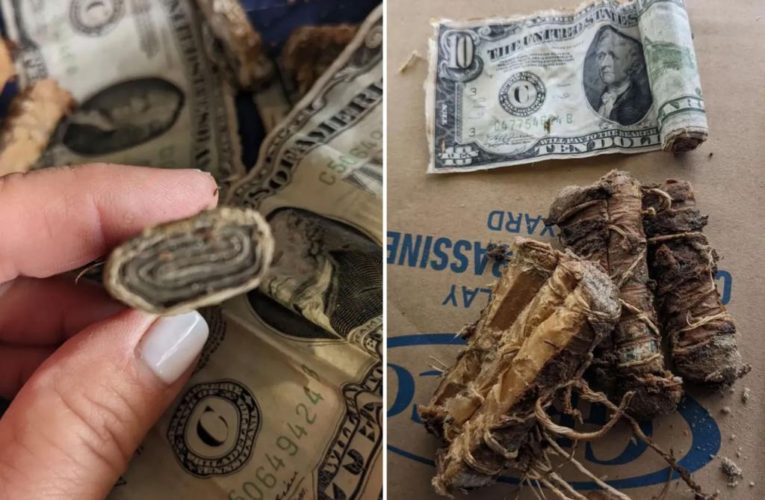 Buried cash in home’s yard adds to mystery of ex-owner’s brothel