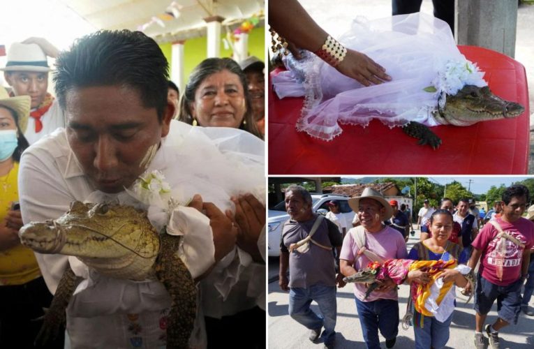 Mexican mayor weds ‘princess’ alligator in age-old tradition