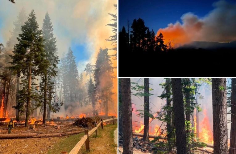 Yosemite wildfire threatening grove of giant sequoia trees