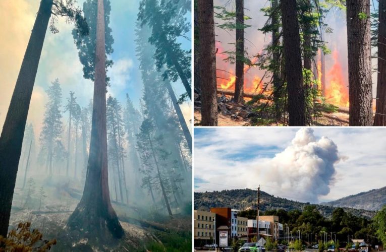 California heat builds as crews protect Yosemite sequoias