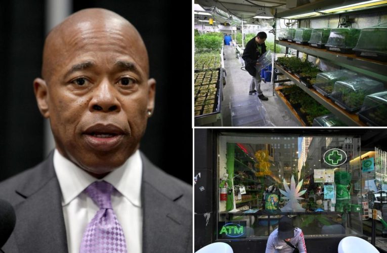 Mayor Eric Adams looking for a smokes person to manage NYC’s weed habit