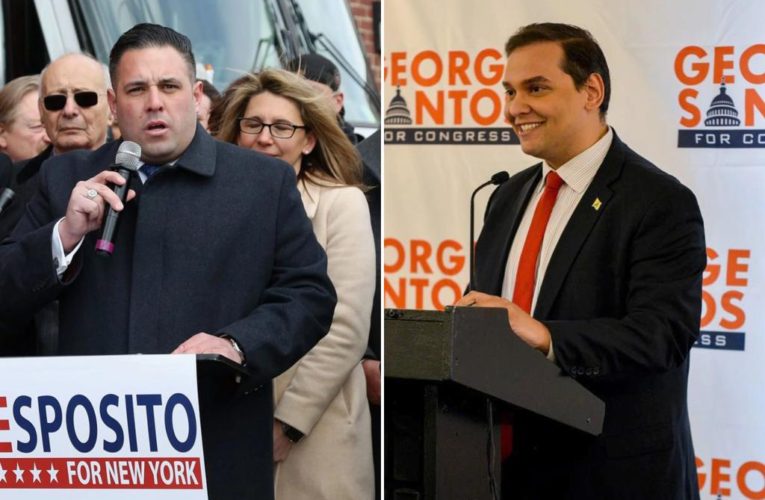 GOP poised to pick up two Democrat House seats on Long Island: experts