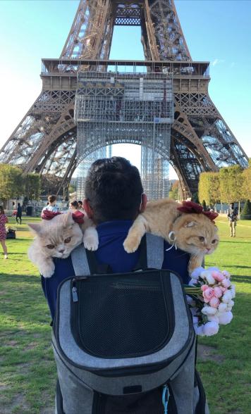 Decked out in matching ribbons, Sponge Cake and Mocha hitched a ride on Dan's shoulders to see the Eiffel Tower.