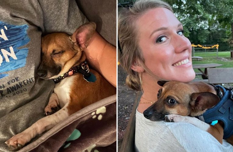 Georgia nurse adopts beloved dog after terminal patient dies