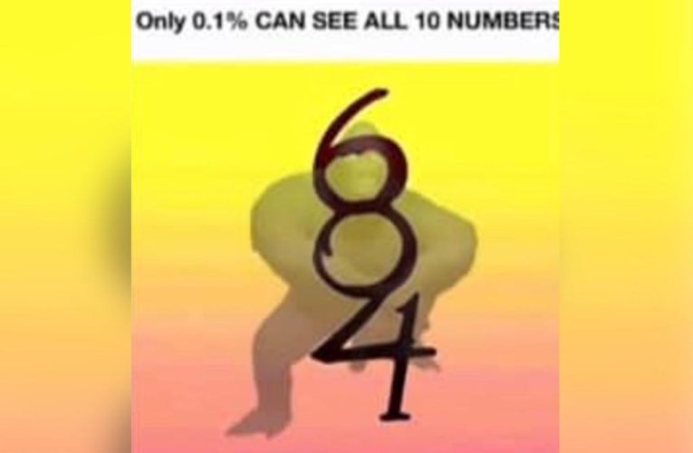 This illusion can only be solved by the top 0.1%