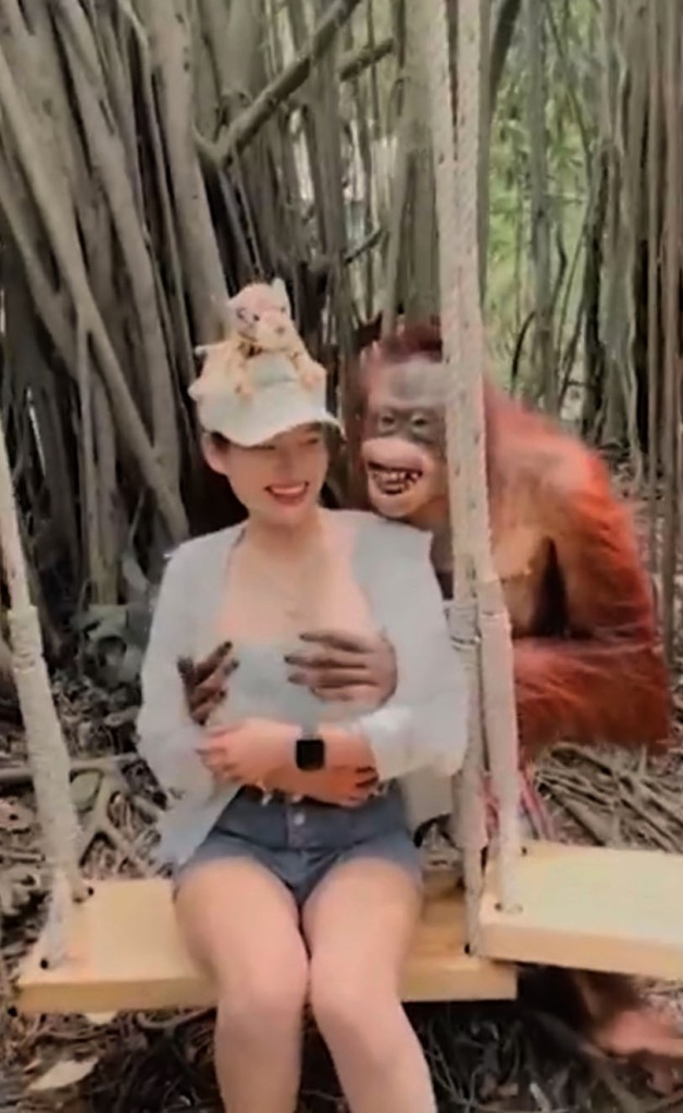 The tourist was posing for a photo when the ape tried it's luck.