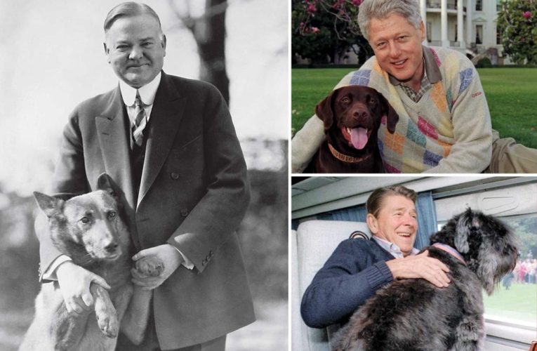 Meet the presidential dogs who lived in the White House