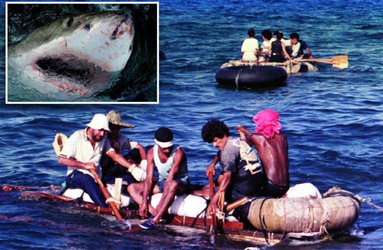 Cubans in 90s flotilla were regularly attacked by sharks