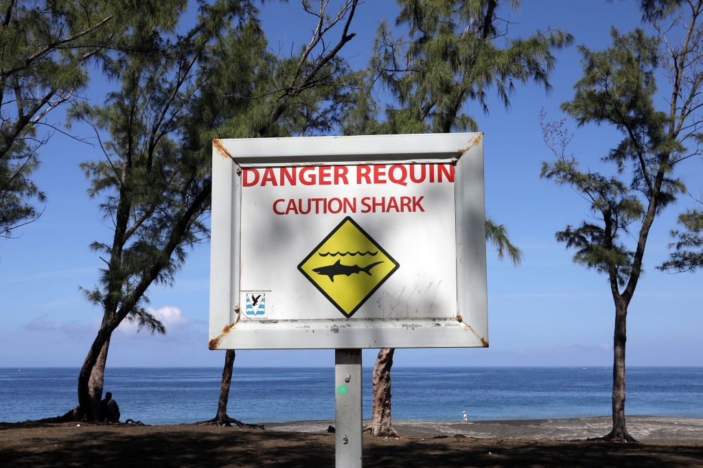 Reunion island, a hot spot for shark attacks