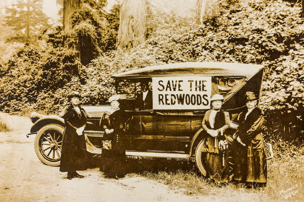 Decades of campaigns to save Northern California’s redwoods ushered in Redwood National Park, and dried up business for local lumberjacks.