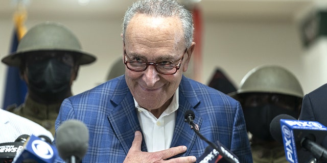 Senate Majority Leader Chuck Schumer and other Democrats benefit from dark money to a far greater degree than Republicans despite their public outcries against it.