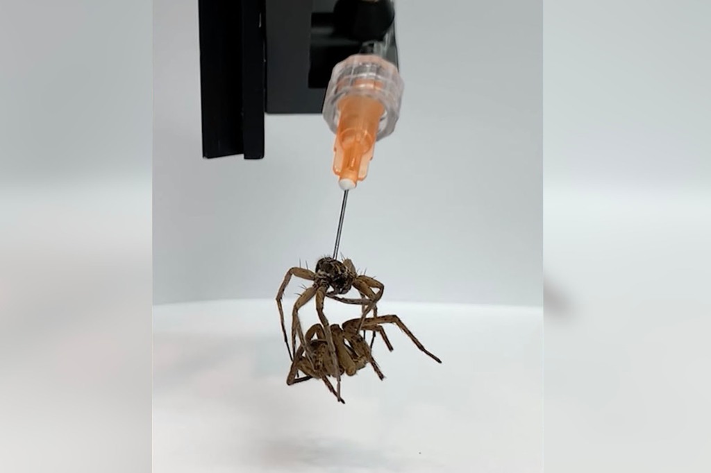 A necrobot is used to pick up another spider like a macabre claw machine.