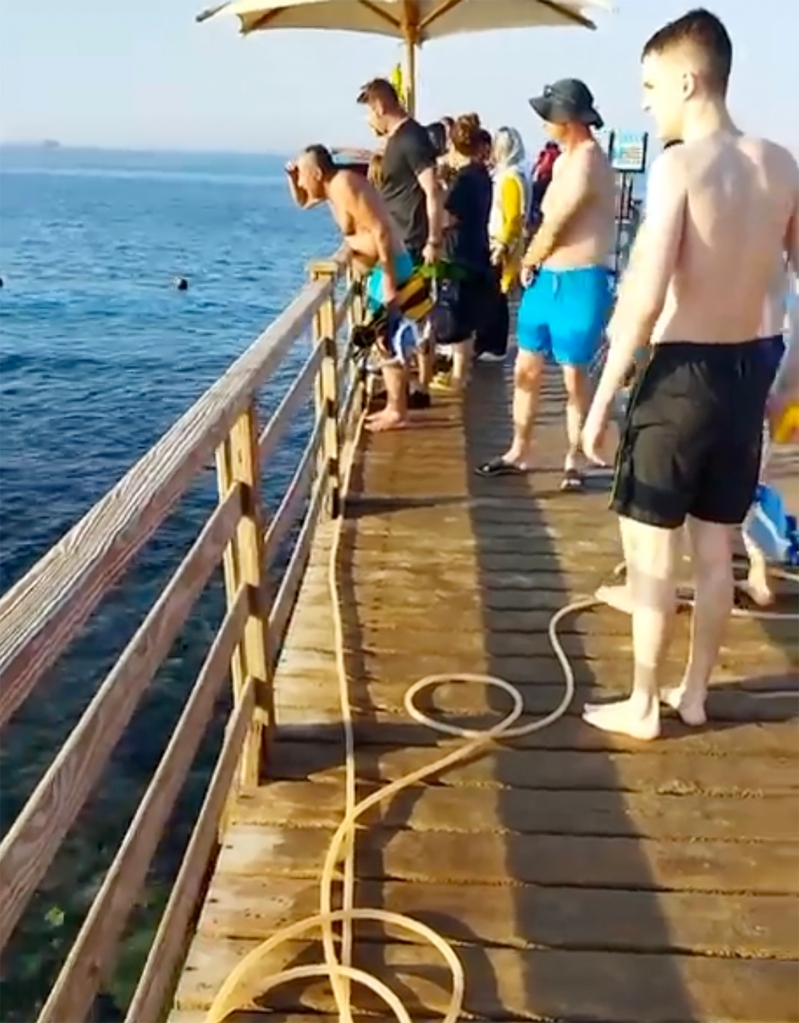 Desperate tourists at a pier of a Hurghada hotel in Egypt try to help the woman attacked by a shark