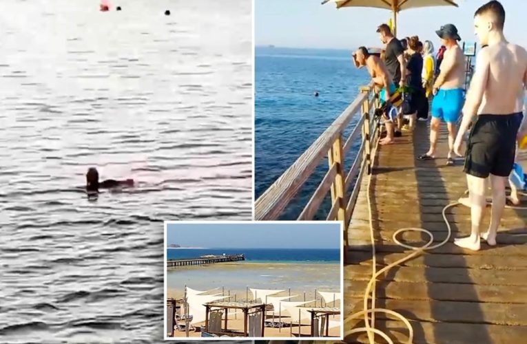 Sharks kill 2 women hours apart near resort in Egypt’s Red Sea