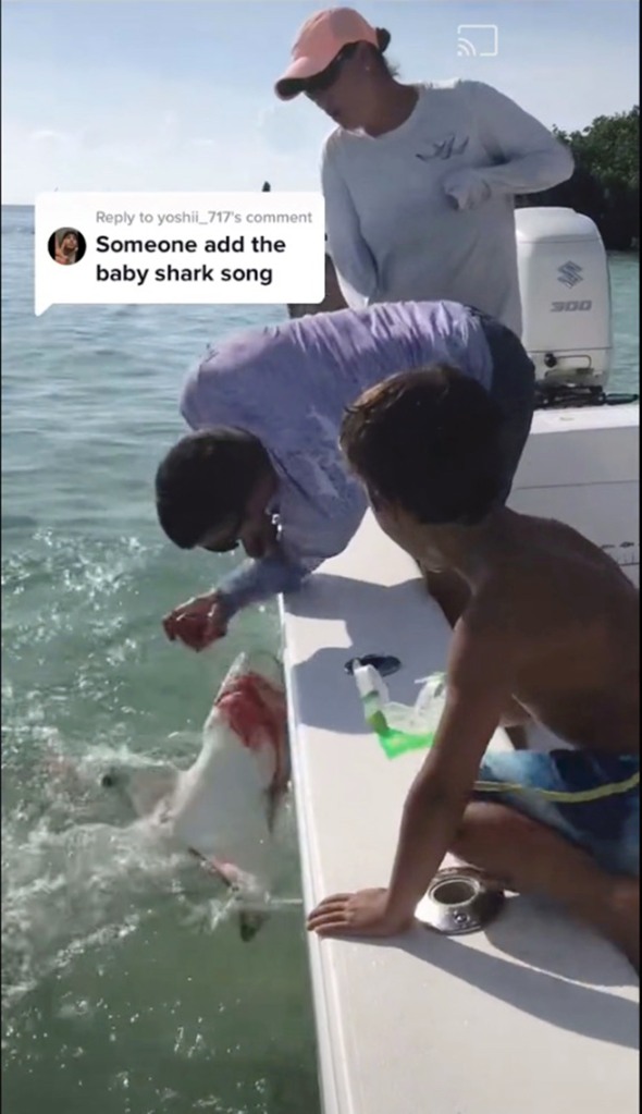 The culprit was a 6-foot lemon shark. 