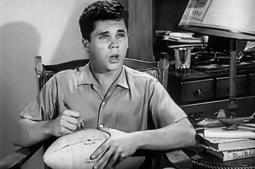 Tony Dow starred in "Leave It To Beaver" for six seasons from 1957-1963.
